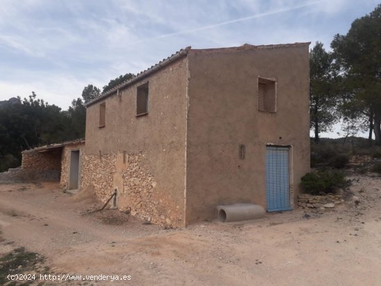 Suelo rústico en venta  en Mora d Ebre - Tarragona