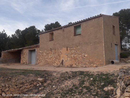 Suelo rústico en venta  en Mora d Ebre - Tarragona