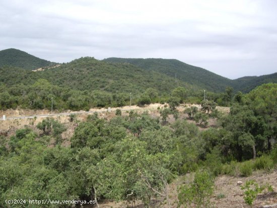 Suelo urbano en venta  en Calonge - Girona