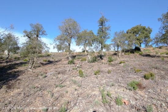 Suelo urbano en venta  en Calonge - Girona