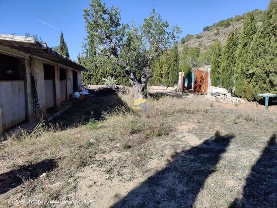  TERRENO RUSTICO CERCA DEL PUEBLO - VALENCIA 