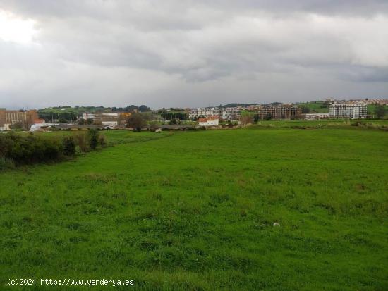 TERRENO URBANIZABLE EN MOMPIA - CANTABRIA