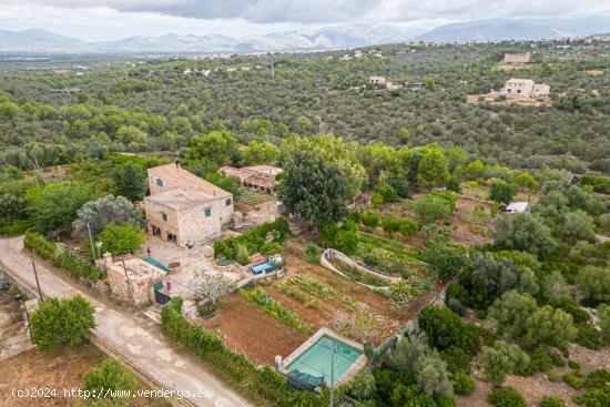 Finca rústica con piscina y garaje en Portol - BALEARES