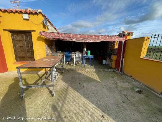 SE VENDE ESTUPENDA FINCA EN JEDULA - CADIZ