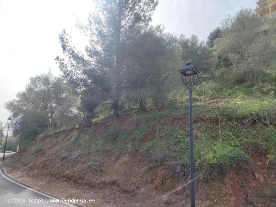 TERRENO URBANIZABLE EN LA URBANIZACION DE SIERREZUELA - MALAGA