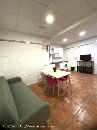 ☀🐬  APARTAMENTO ALEGRÍA 3 🐬☀ - CADIZ