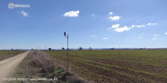  API LUNA INMOBILIARIA VENDE FINCA DE REGADIO - ALBACETE 