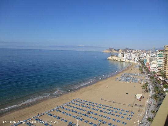 Gran piso en el mejor edificio en primera línea de Playa Levante de Benidorm - ALICANTE