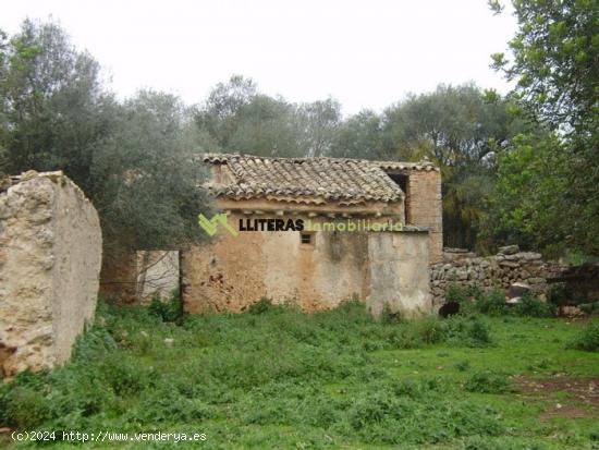  Rústica edificable con luz y agua además de proyecto aprobado de edificación. - BALEARES 