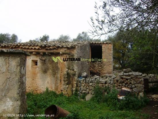 Rústica edificable con luz y agua además de proyecto aprobado de edificación. - BALEARES