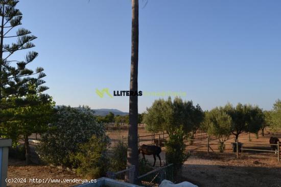 Bonita finca rústica en Búger con cuadra para caballos - BALEARES