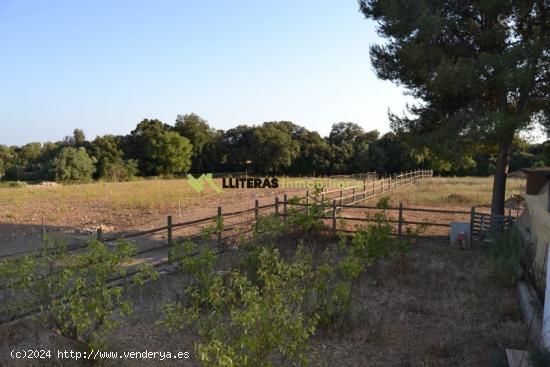 Bonita finca rústica en Búger con cuadra para caballos - BALEARES