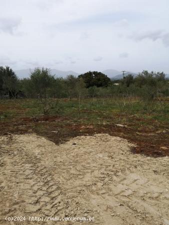 Pequeña rústica con vistas despejadas - BALEARES