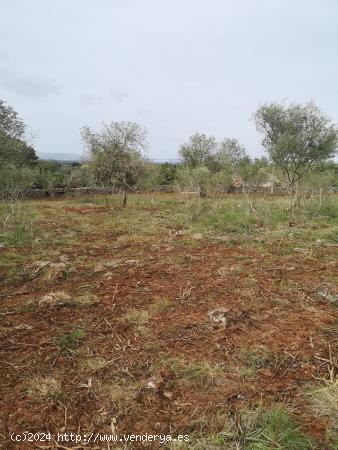 Pequeña rústica con vistas despejadas - BALEARES