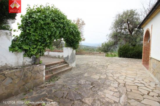 CASA DE CAMPO A 5 MINUTOS DE RONDA - MALAGA