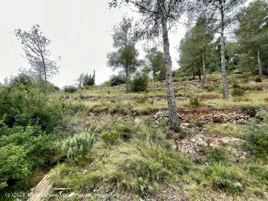  TERRENO EN EL PRIORAT DE LA BISBAL - TARRAGONA 