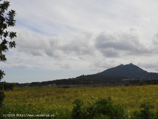  Terreno rustico edificable en muy buena zona - BALEARES 