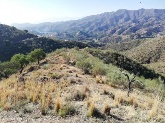 Finca Urbana en Málaga Norte. - MALAGA