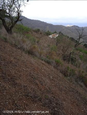 Finca rustica con terreno en Almogia - MALAGA