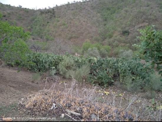 Finca rustica con terreno en Almogia - MALAGA