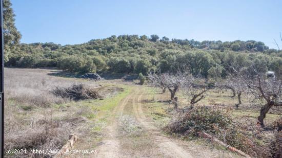 Finca rústica con terreno en Montillana, Iznalloz. - GRANADA