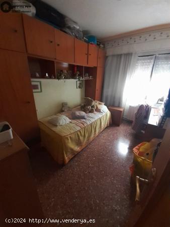 INMOBILIARIA TEJARES VENDE PISO EN CALLE TEJARES - ALBACETE