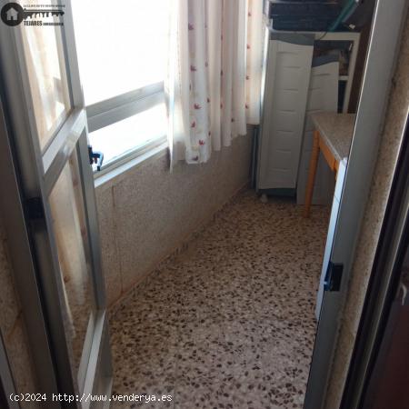 INMOBILIARIA TEJARES VENDE PISO EN LA GINETA - ALBACETE