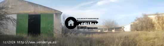 INMOBILIARIA TEJARES 2 VENDE PARCELA URBANIZADO EN LA GINETA - ALBACETE
