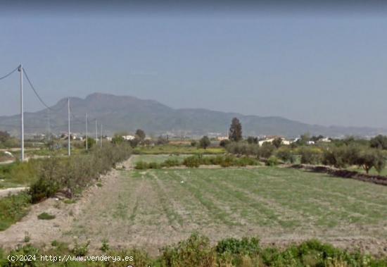  VENTA DE PARCELA EN EL ESPARRAGAL - MURCIA 