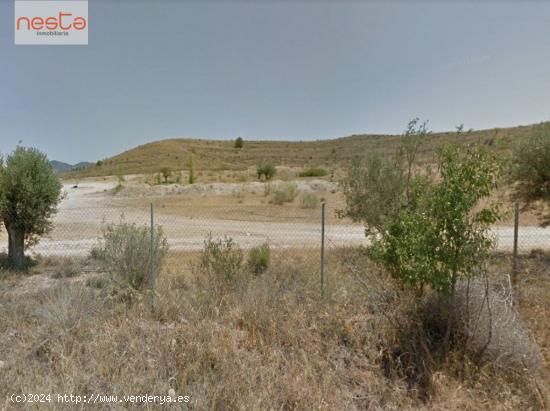 VENTA TERRENO EN CAZALLA - MURCIA