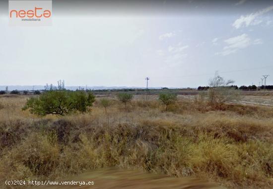 VENTA TERRENO EN LA TORRECILLA - MURCIA