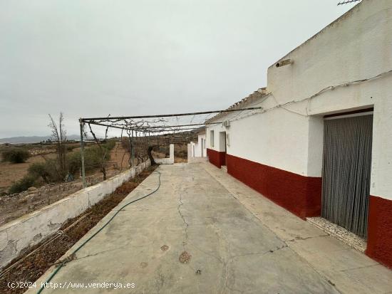 VIVIENDA DE CAMPO PARA REFORMAR CON ALMACÉN, HORNO Y POZO - MURCIA