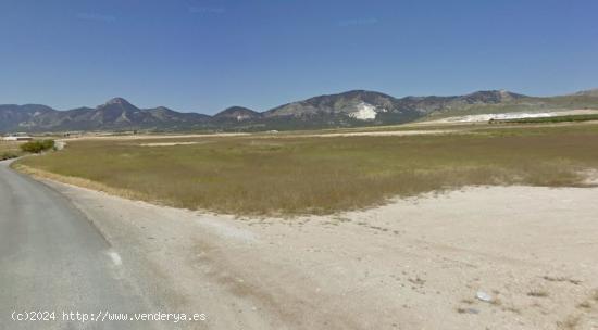 VENTA FINCA CULTIVO EN ZARZILLA DE RAMOS - MURCIA