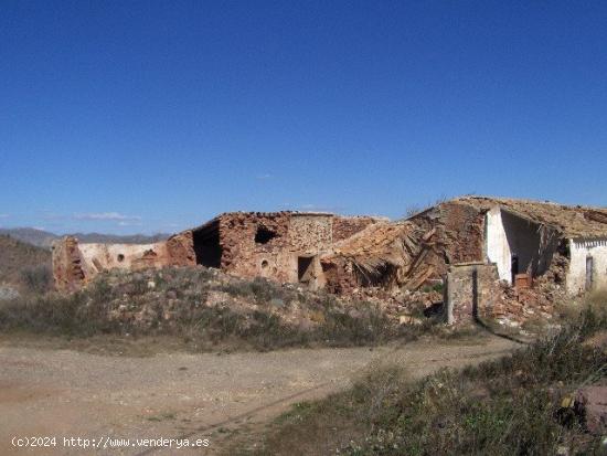  FINCA RÚSTICA EN ORTILLO - MURCIA 