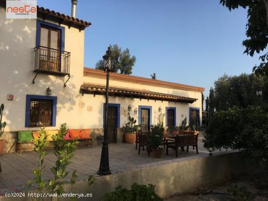 CORTIJO ESPECTACULAR CON JARDINES PUEDE SER PARA CASA RURAL O VIVIENDA HABITUAL - MURCIA