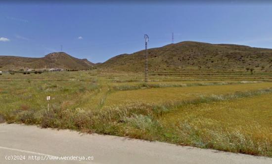 PARCELA EN BARRANCO DE MEDRANO (SIERRA DE CARRASQUILLA) - MURCIA