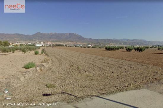 PARCELA EN LA HOYA CON 8.000 m2 - MURCIA