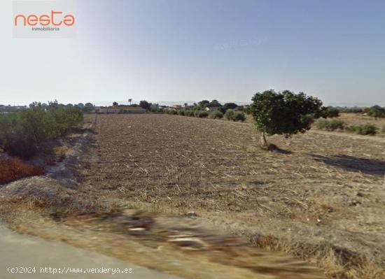  PARCELA MUY CERCA DEL CASCO URBANO DE LORCA - MURCIA 