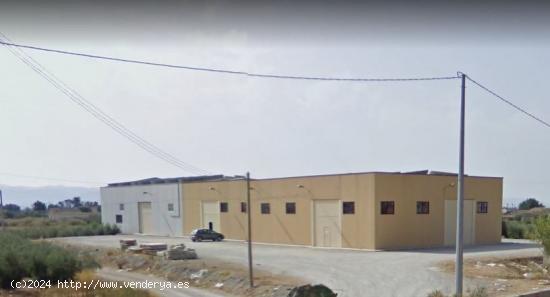 Amplia parcela con nave industrial - MURCIA