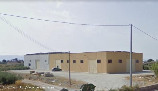 Amplia parcela con nave industrial - MURCIA