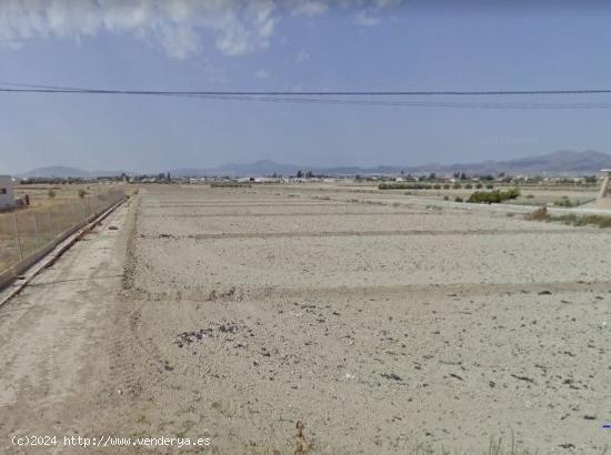 PARCELA EN CAZALLA PARA CONSTRUCCION DE VIVIENDA - MURCIA