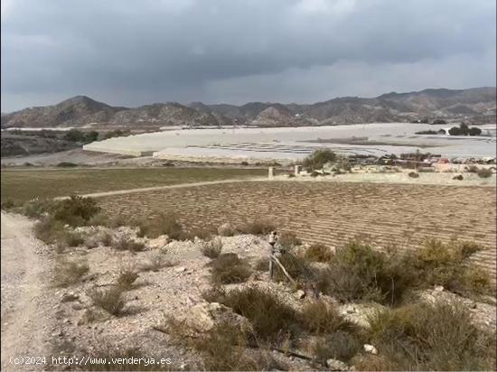 FINCA AGRÍCOLA EN AGUILAS - MURCIA