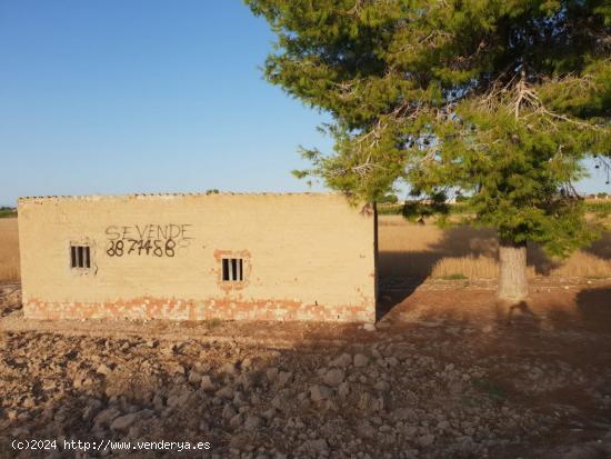 parcela con casa de apero - ALICANTE