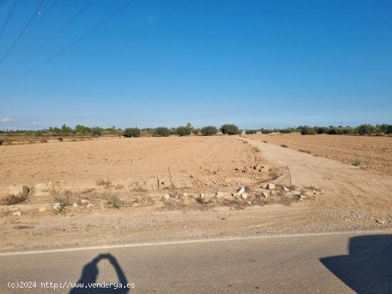 Terreno agrícola de 8.000 m2 en Crevillente - ALICANTE