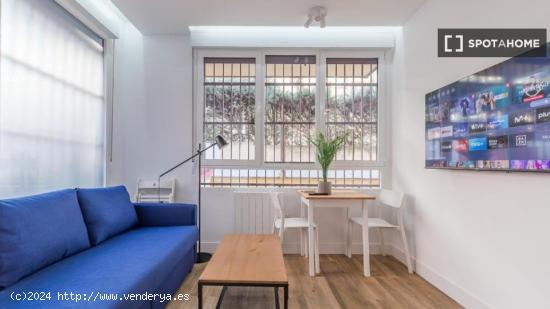 Apartamento entero de 1 habitaciones en Madrid - MADRID