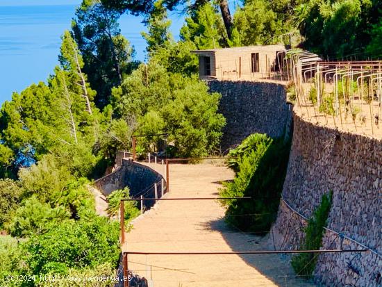 FINCA VISTAS AL MAR  Y ANTIGUA CASA DE PIEDRA TRAMUNTANA - BALEARES