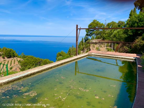 FINCA VISTAS AL MAR  Y ANTIGUA CASA DE PIEDRA TRAMUNTANA - BALEARES