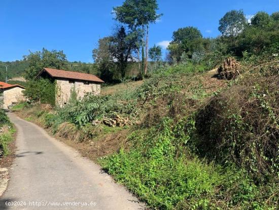   Encantadora cabaña de piedra en La Doriga, Salas, Asturias - ¡Tu paraíso rural te espera! -50.00 