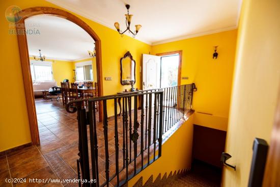 MAGNIFICA CASA CON TERRENO EN LA TRANQUILIDAD DEL CAMPO EN LEIVA, MAZARRON - MURCIA