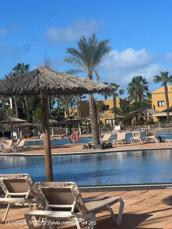 Piso en venta cerca del mar en Corralejo, Fuerteventura. ¡Descubre tu oasis isleño hoy mismo! - LA